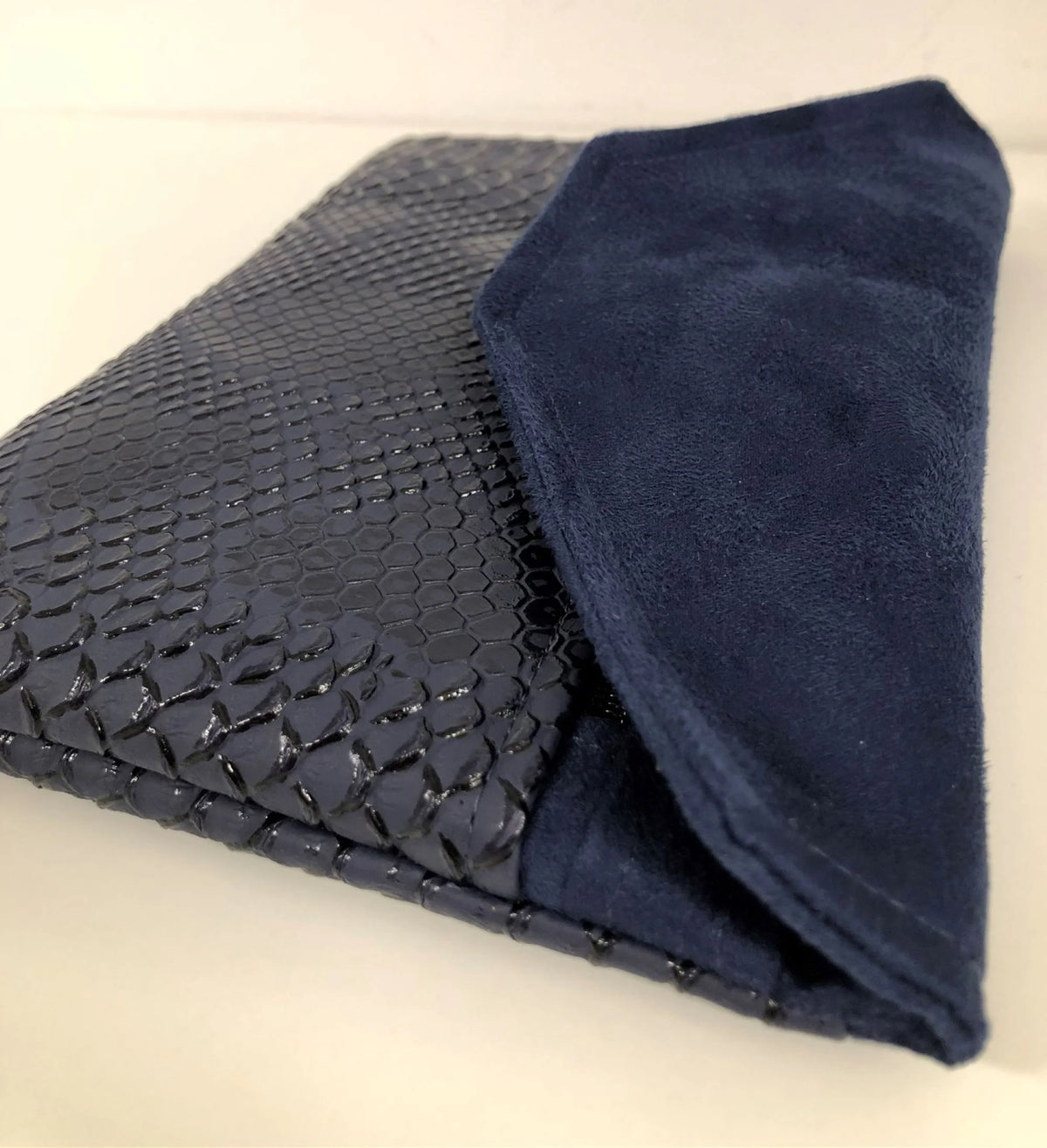 Vue latérale du compagnon de sacbleu marine aspect reptile.